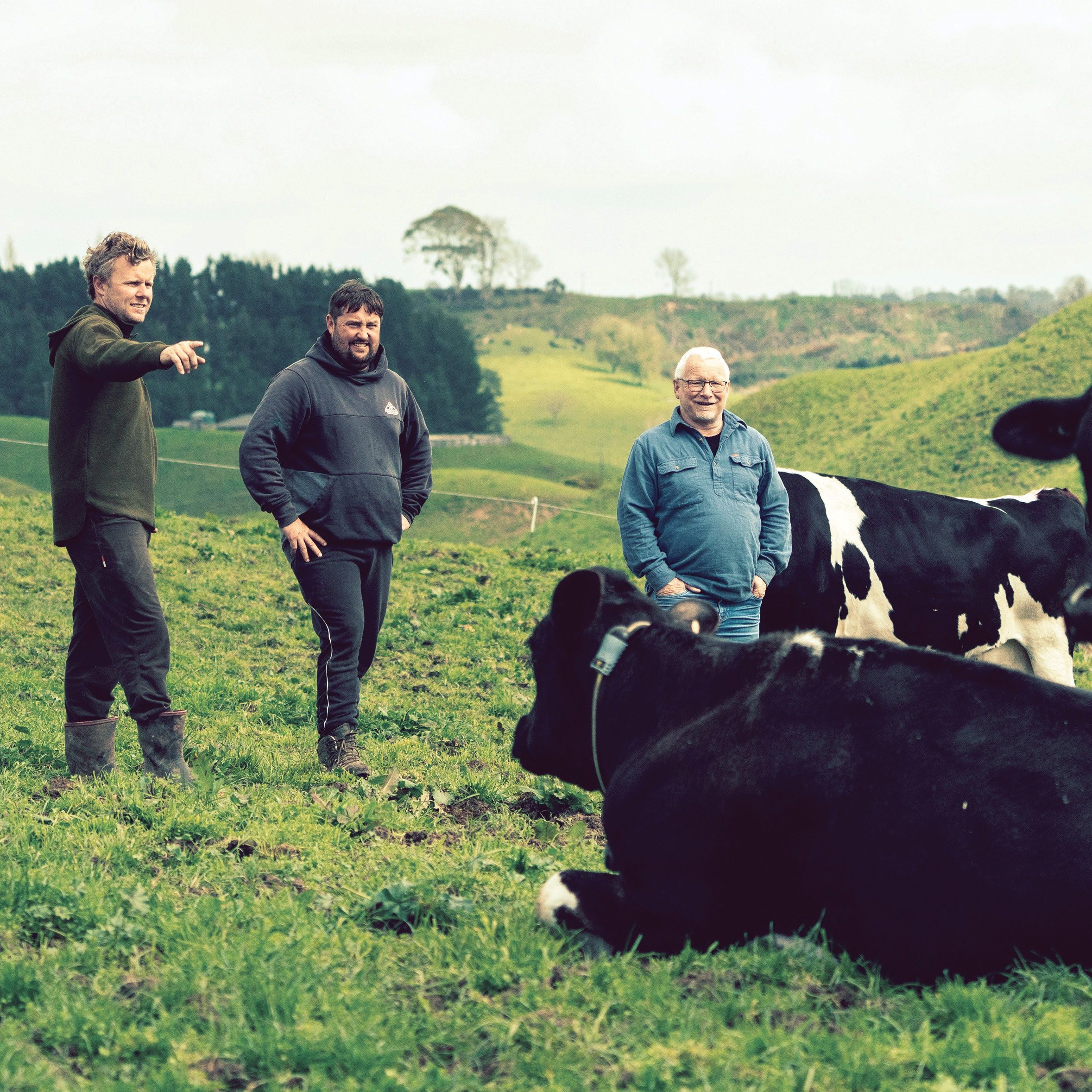 Inheritance Tax:  The Hidden Cost Of Family Farm Ownership - t1j0cwg