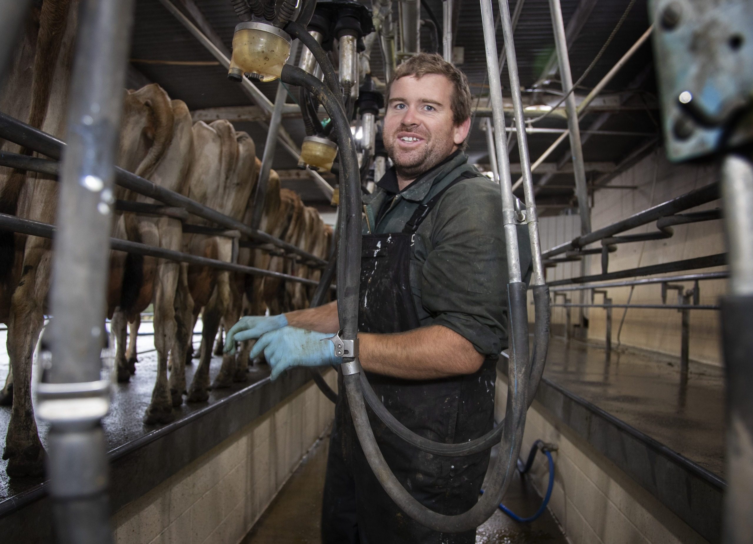 Once-a-day farmer wins on the day - Young Country